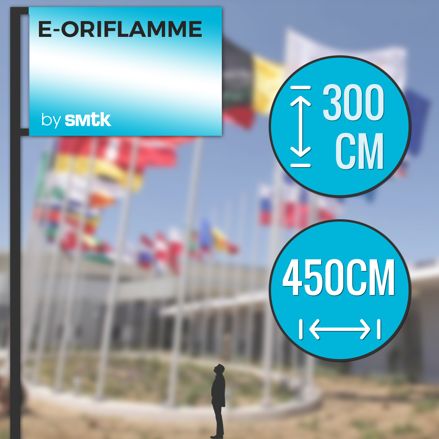drapeau pavillon personnalisable 300x450